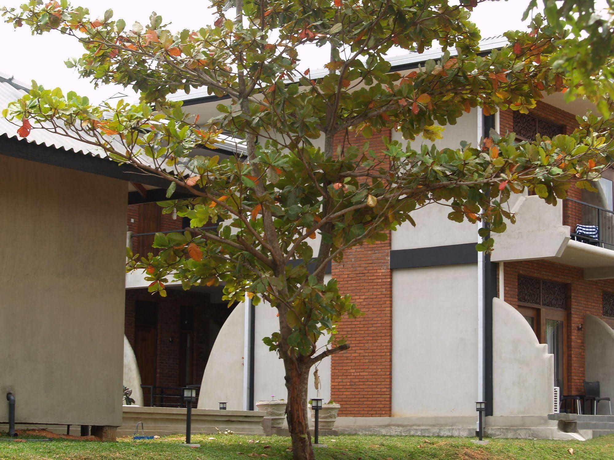 Welimaluwa Resort Sigiriya Kibissa Экстерьер фото